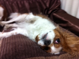 �J�̓��́E�E�E�E