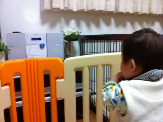 �h���O�����낱��