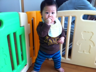 �������܂炸�ɗ��Ă�悤��