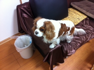 ���тł����H