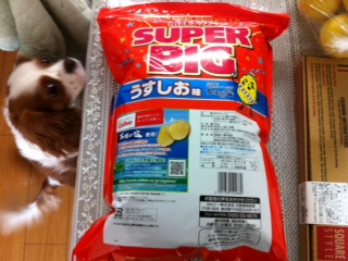 �R�X�g�R�ł������|�e�`���E�E�E