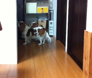 �����S��D��