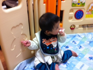 ���َq�H�ׂ��H