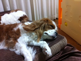 �[�т̎��Ԃł����E�E�E