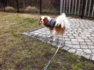 �h�b�N�����ŋx�e