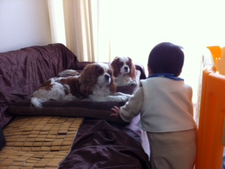 ����ɂ��́I