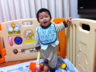 ����悾�ꂩ��