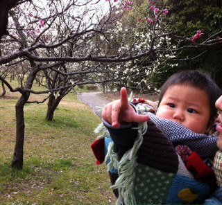 �R�c�r�����Ŕ~���݂܂���