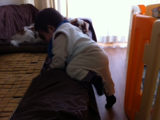 �\�t�@�[�̏o�����[�o�ꂽ��[