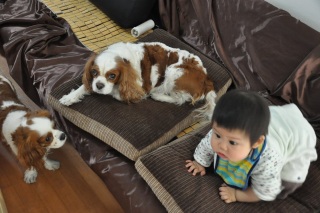 ����A���t�̎p���E�E�E