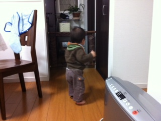 ������̂��[