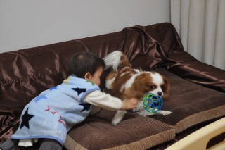 �{�[����荇������