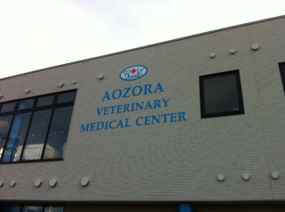 �t�B�����A�\�h