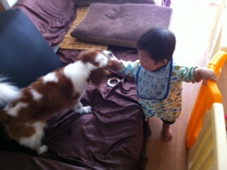 ���ǂ��R���r