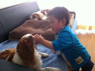 ���������ǂ�o(^��^)o