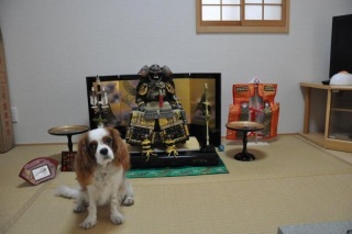 �䂪�Ƃ̌܌��l�`