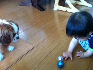 �{�[���̎�荇��