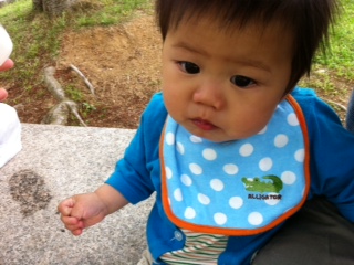 �V���q������