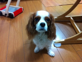 ���t�A4�΂̒a����