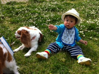 �����̂��U��