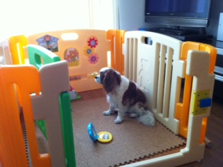 ��New �P�[�W�H