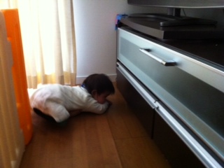 �I���`����T����