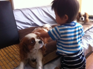 ���̂�������