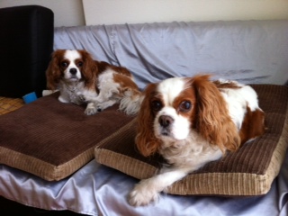 ��5���̓���