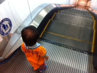 �G�X�J���[�^�[�͂��킢