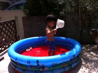 �v�[���J��