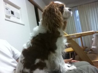 �����Ȃ�ƁE�E�E�E