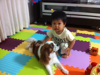 ���q�Ə��t